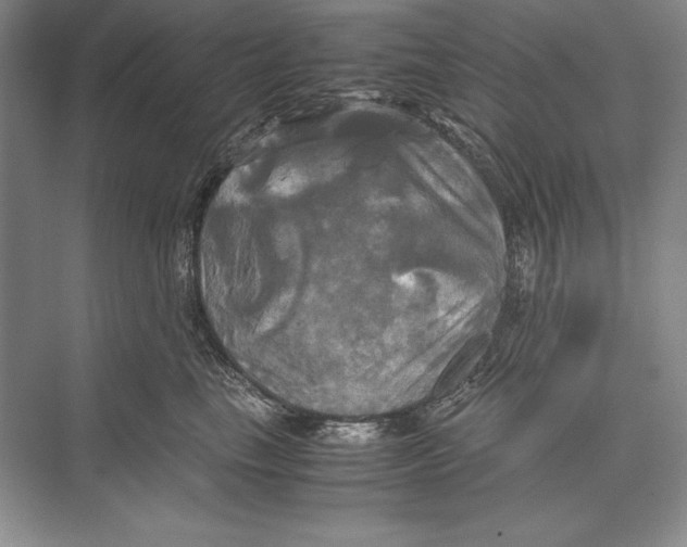 X0000072520665200608111721