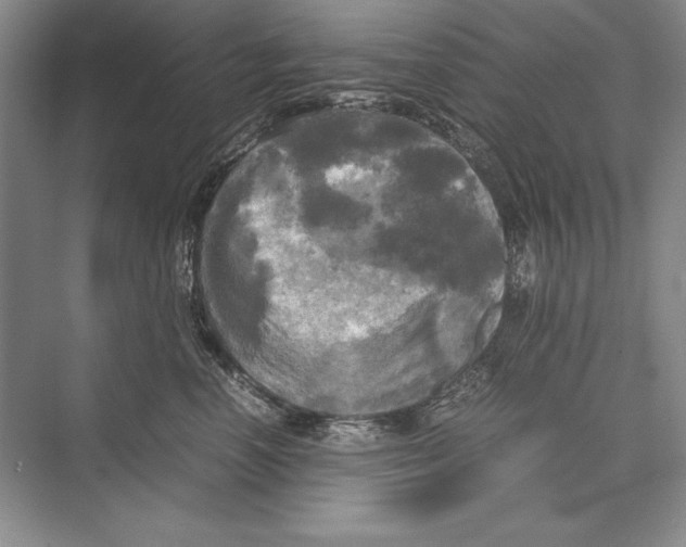 X0000072520666200608111721