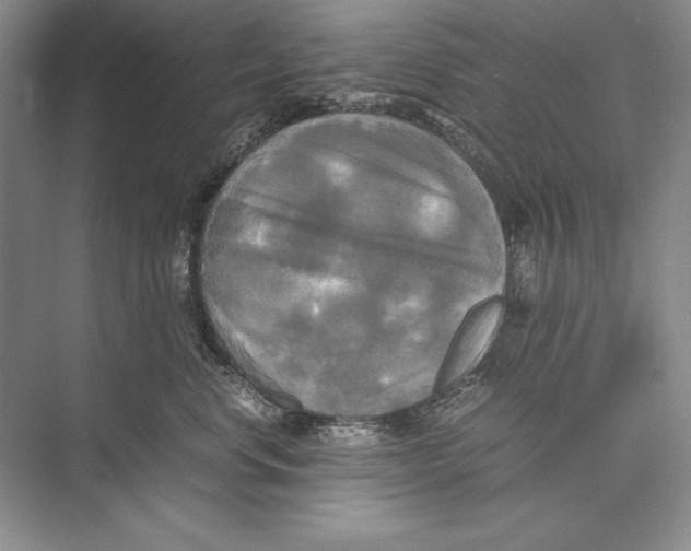 X0000072520668200608111722