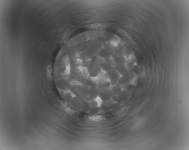 X0000072520669200608111722