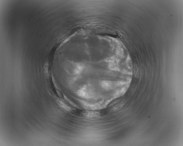 X0000072520670200608111722