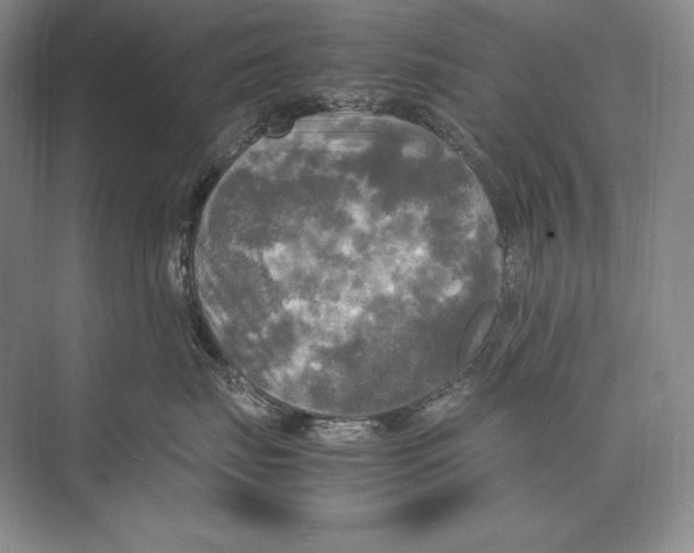 X0000072520671200608111722