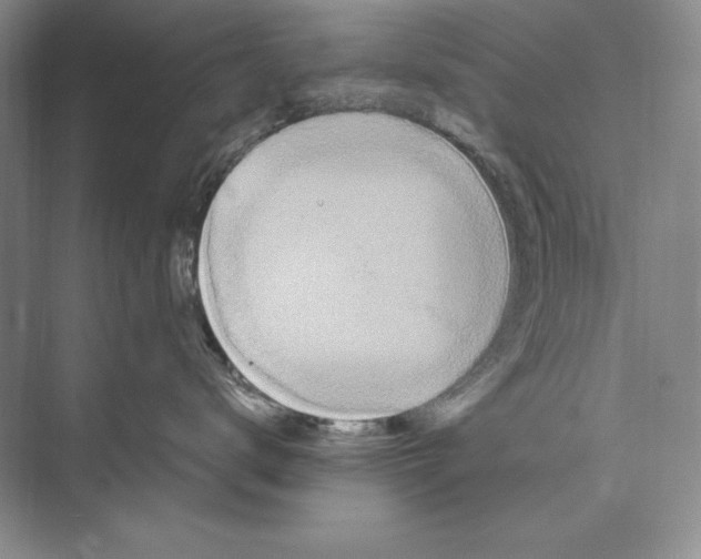 X0000072520672200608111722