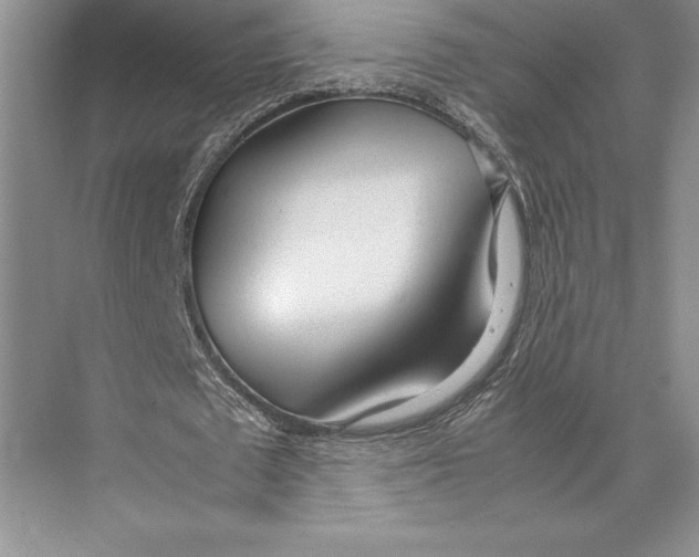 X0000072520673200608111721