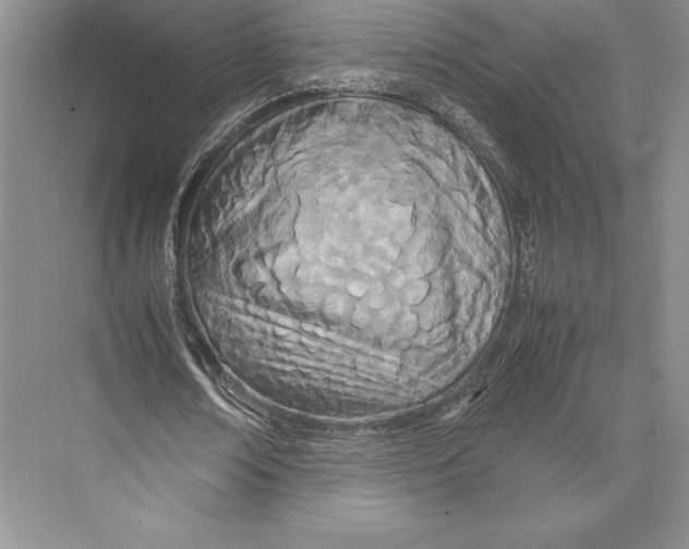 X0000072520674200608111721