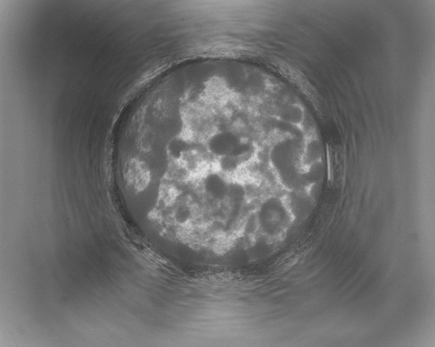 X0000072520675200608111721