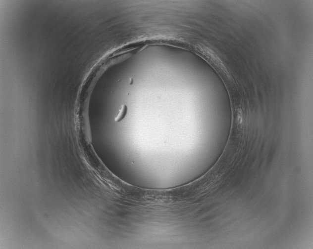 X0000072520676200608111721