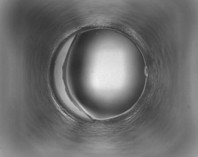 X0000072520677200608111721