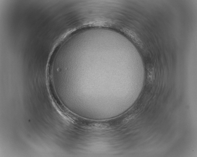 X0000072520678200608111721