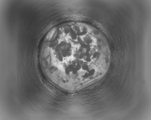 X0000072520679200608111721