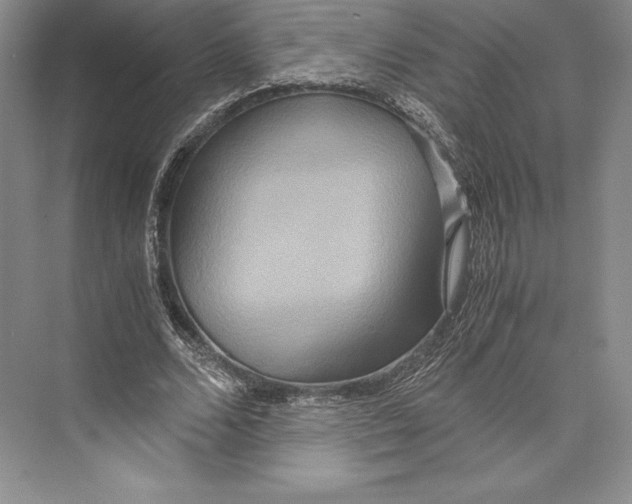 X0000072520680200608111721