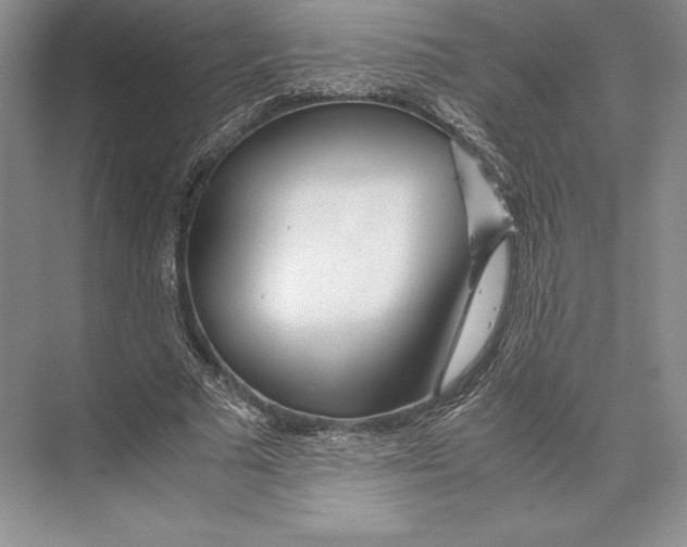 X0000072520681200608111721