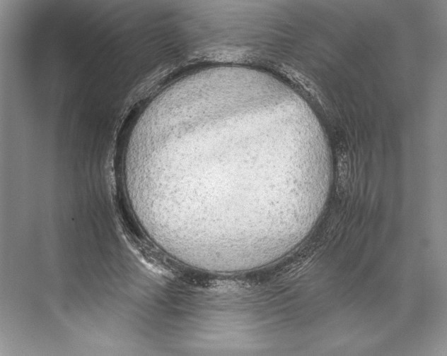 X0000072520682200608111721