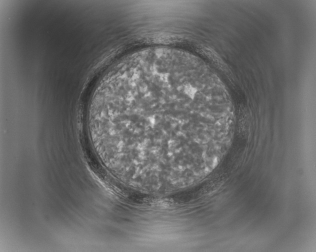 X0000072520683200608111721