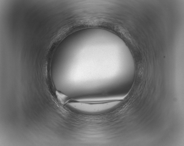 X0000072520685200608111721