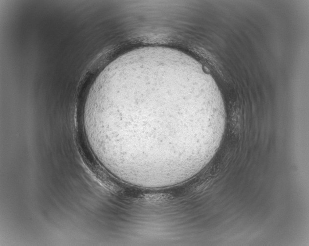 X0000072520686200608111721