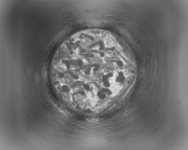 X0000072520687200608111721