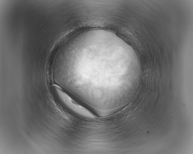 X0000072520688200608111720