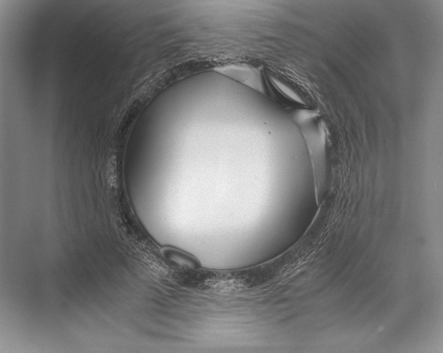 X0000072520689200608111720