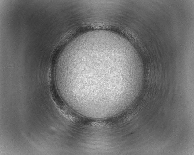 X0000072520690200608111720