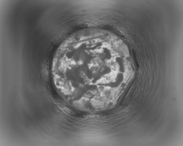 X0000072520691200608111720