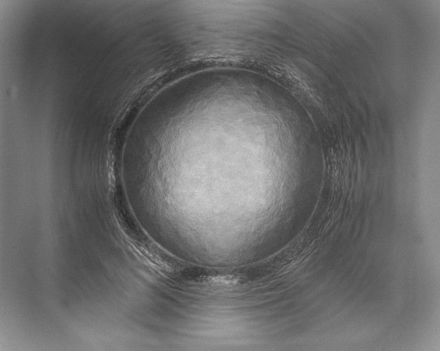 X0000072520692200608111720