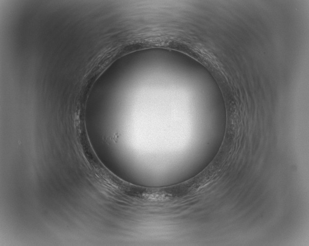 X0000072520693200608111720