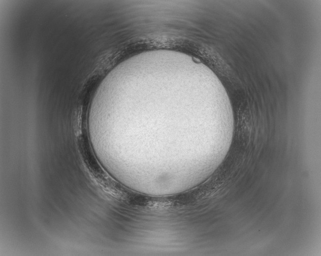 X0000072520694200608111720