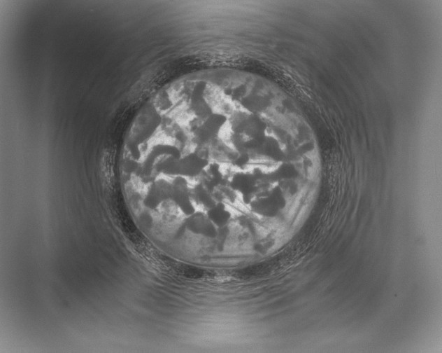 X0000072520695200608111720