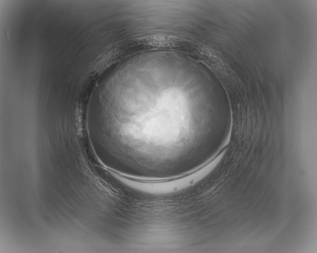 X0000072520696200608111720