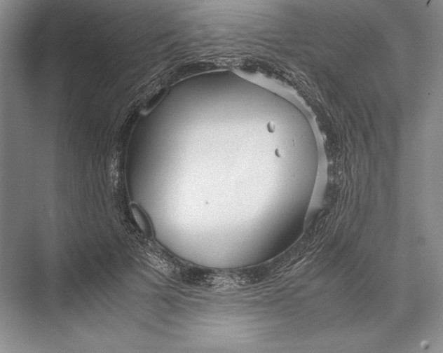 X0000072520697200608111720