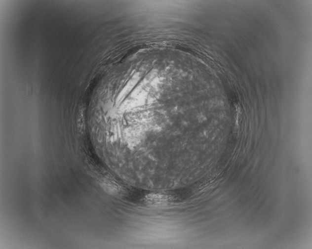 X0000072520699200608111720