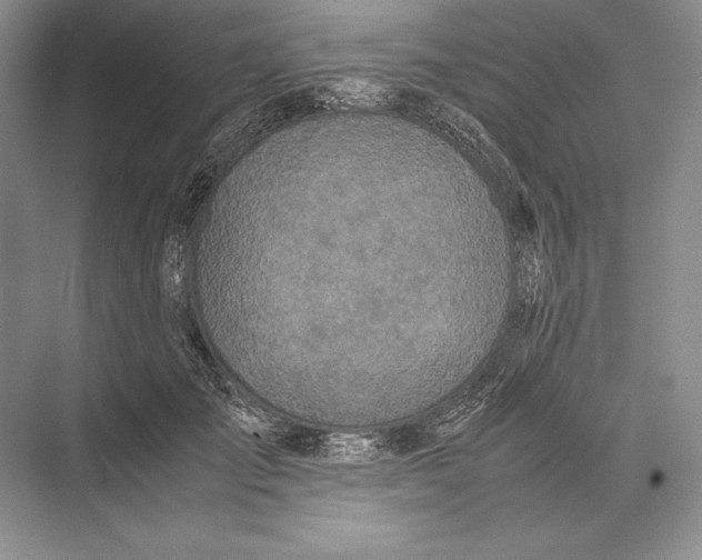 X0000072520701200608111720