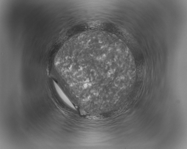 X0000072520703200608111720