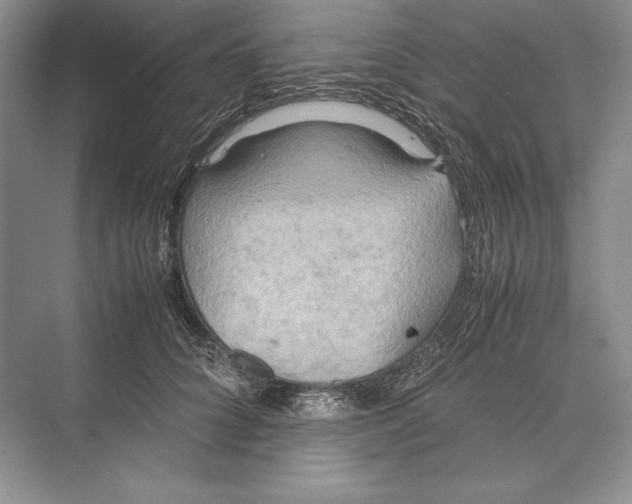 X0000072520704200608111720