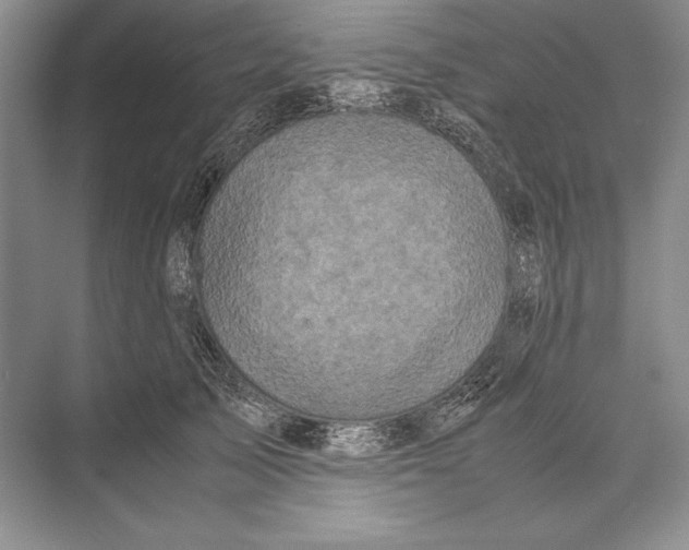 X0000072520705200608111720