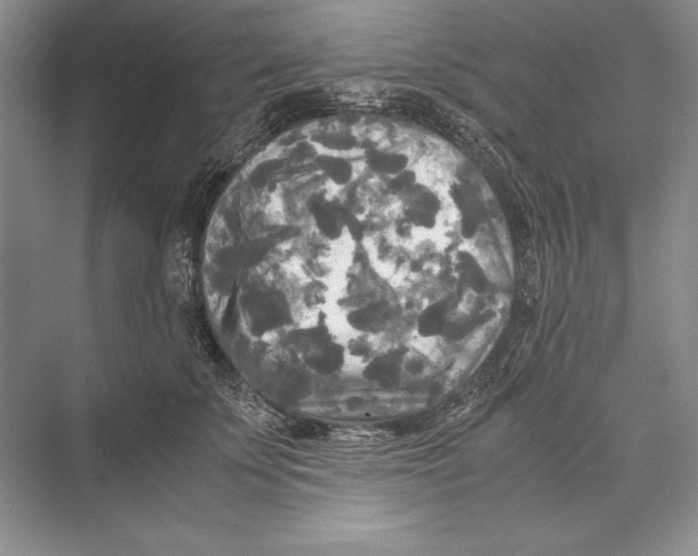 X0000072520707200608111720