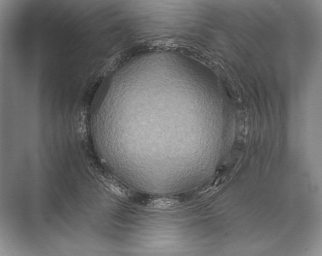 X0000072520708200608111720