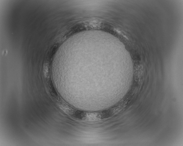 X0000072520709200608111720