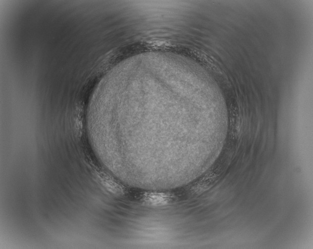 X0000072520710200608111720