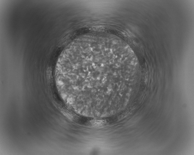 X0000072520711200608111720