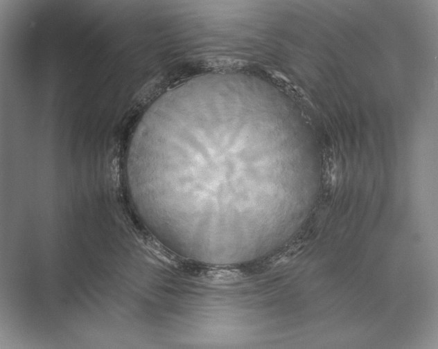 X0000072520716200608111720