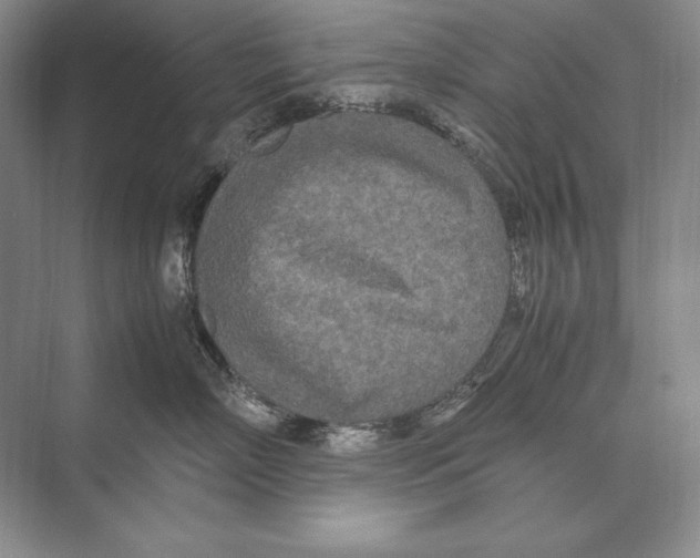 X0000072520718200608111720