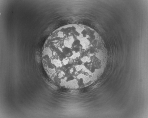 X0000072520719200608111720