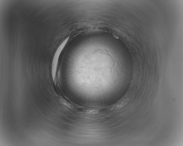 X0000072520720200608111720