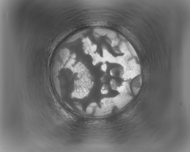 X0000072520721200608111719