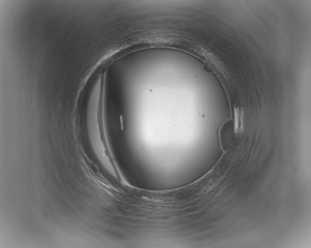 X0000072520723200608111719