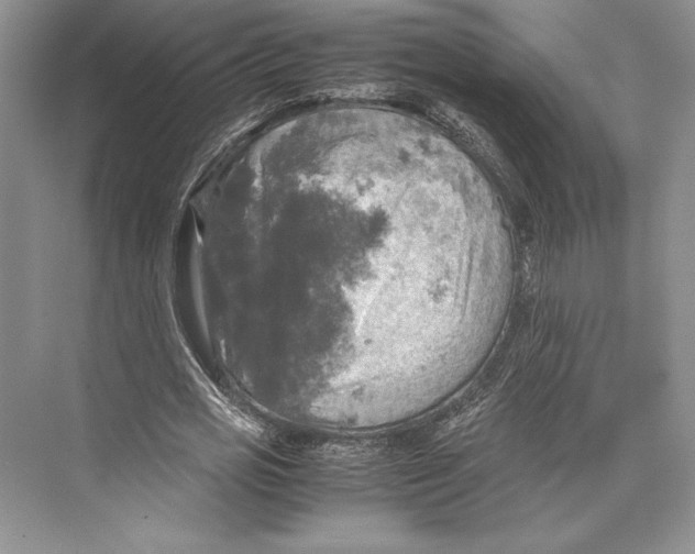 X0000072520725200608111719