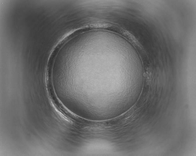 X0000072520726200608111719