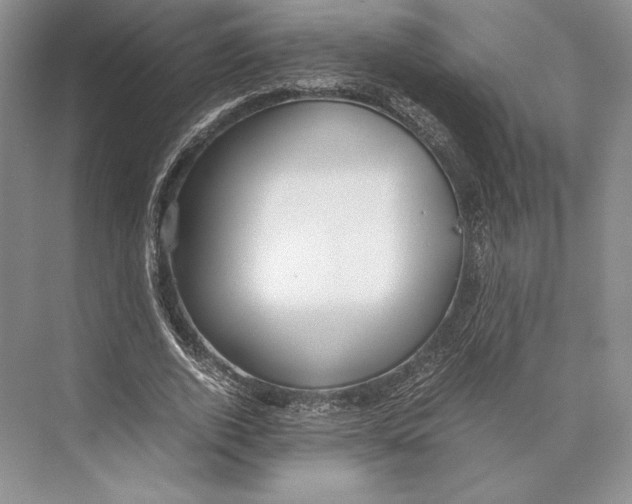 X0000072520728200608111719